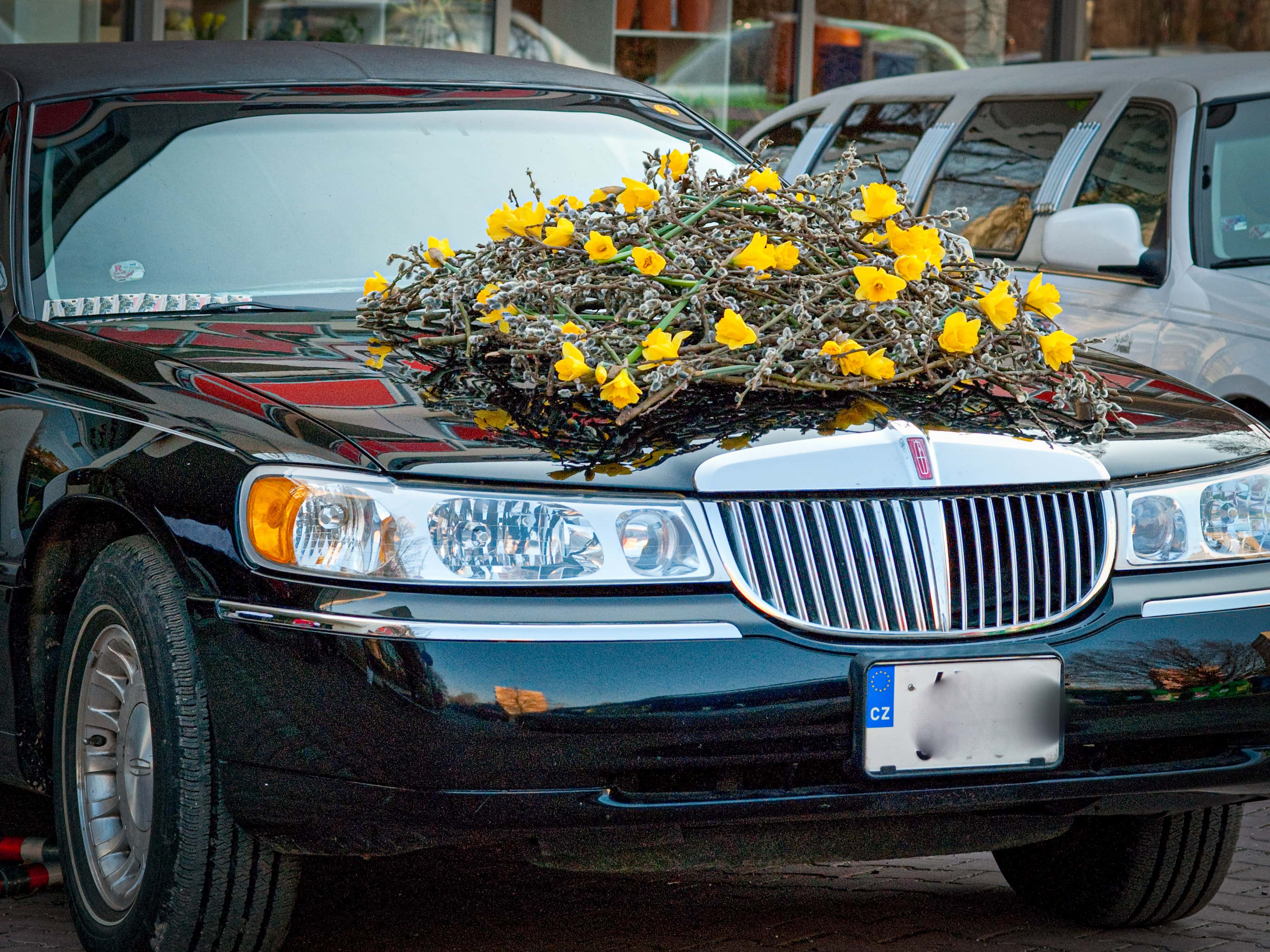 dekorace automobil jaro - kočičky