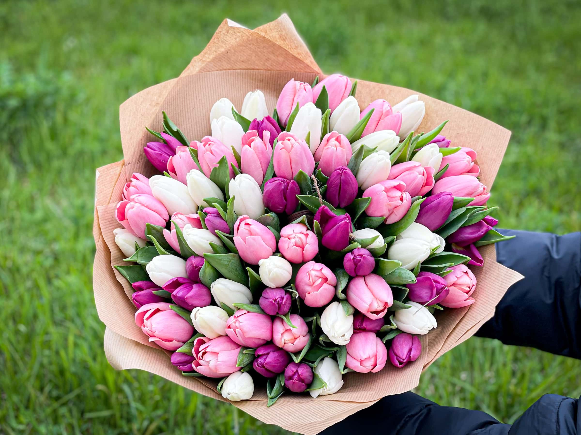 kytice tulipány růžová bílá